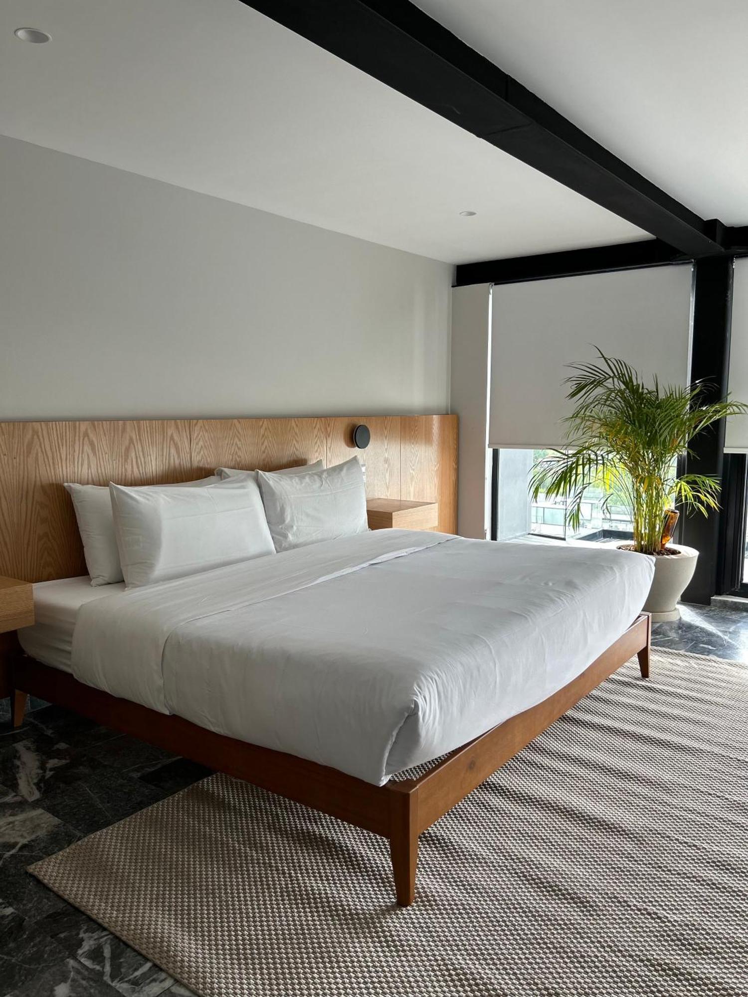 Arquimedes 138 By Wynwood House Aparthotel Kota Meksiko Bagian luar foto